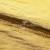 Текстильный материал "Диско"#1805 с покрытием РЕТ, 40гр/м2, 100% полиэстер, цв.5-золото - купить в Альметьевске. Цена 412.36 руб.