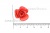 Украшение "Розы малые №1" 20мм - купить в Альметьевске. Цена: 32.49 руб.