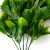 Трава искусственная -1, шт (эвкалипт лист 32 см/8 см)				 - купить в Альметьевске. Цена: 169.93 руб.