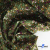 Ткань костюмная «Микровельвет велюровый принт», 220 г/м2, 97% полиэстр, 3% спандекс, ш. 150См Цв  #9 - купить в Альметьевске. Цена 439.76 руб.