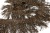 008-коричневый, Бахрома арт.001 шир.10см (упак.12+/-0,5м) - купить в Альметьевске. Цена: 1 017.33 руб.