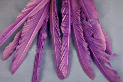 Декоративный Пучок из перьев, перо 25см/фиолетовый - купить в Альметьевске. Цена: 12.19 руб.