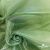 Ткань органза, 100% полиэстр, 28г/м2, шир. 150 см, цв. #27 зеленый - купить в Альметьевске. Цена 86.24 руб.