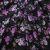 Плательная ткань "Фламенко" 20.1, 80 гр/м2, шир.150 см, принт растительный - купить в Альметьевске. Цена 243.96 руб.