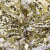 Трикотажное полотно, Сетка с пайетками, шир.130 см, #315, цв.-белый/золото - купить в Альметьевске. Цена 693.39 руб.